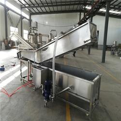 西紅柿清洗機(jī) 諸城國邦食品機(jī)械 西紅柿清洗機(jī)經(jīng)銷商